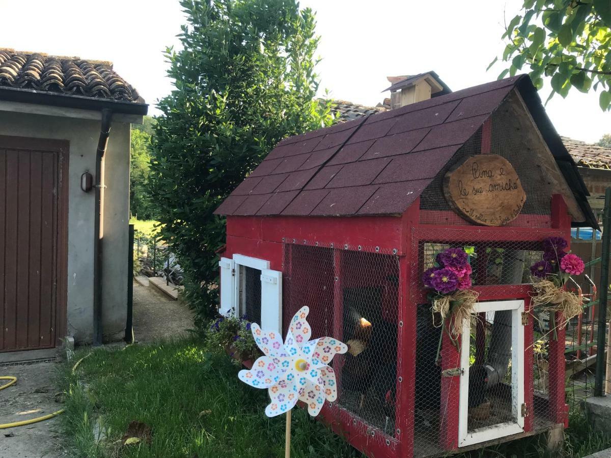 Tra I Campi Di Papaveri Medesano Exterior photo