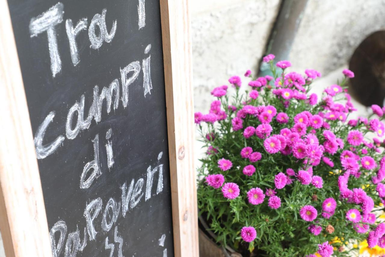 Tra I Campi Di Papaveri Medesano Exterior photo